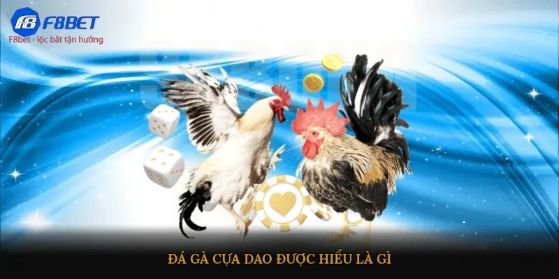 Đá gà cựa dao được hiểu là gì?